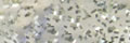 Glitter