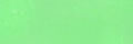 Kiwi Green