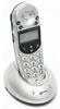 Ampli-DECT 300