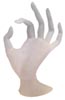 Acrylic Hand Display