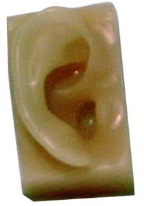 Plastic Ear