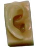 Plastic Ear Model