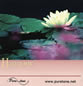 Tinnitus Relaxation CDs